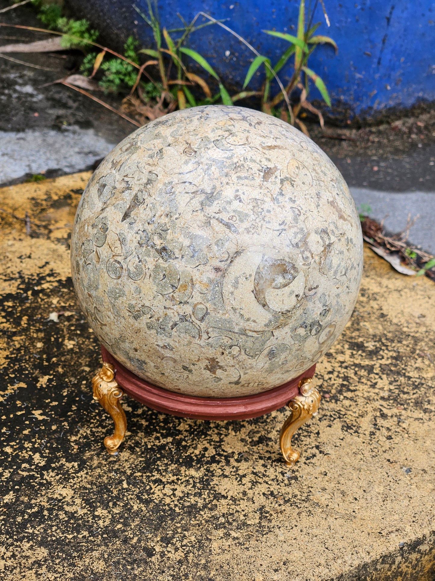 Esfera colosal de coral fósil con soporte