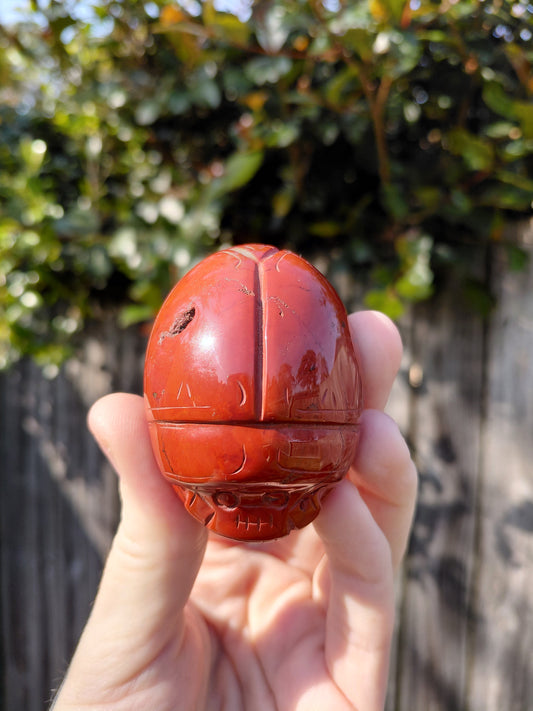 Escarabajo de jaspe rojo - Mini A