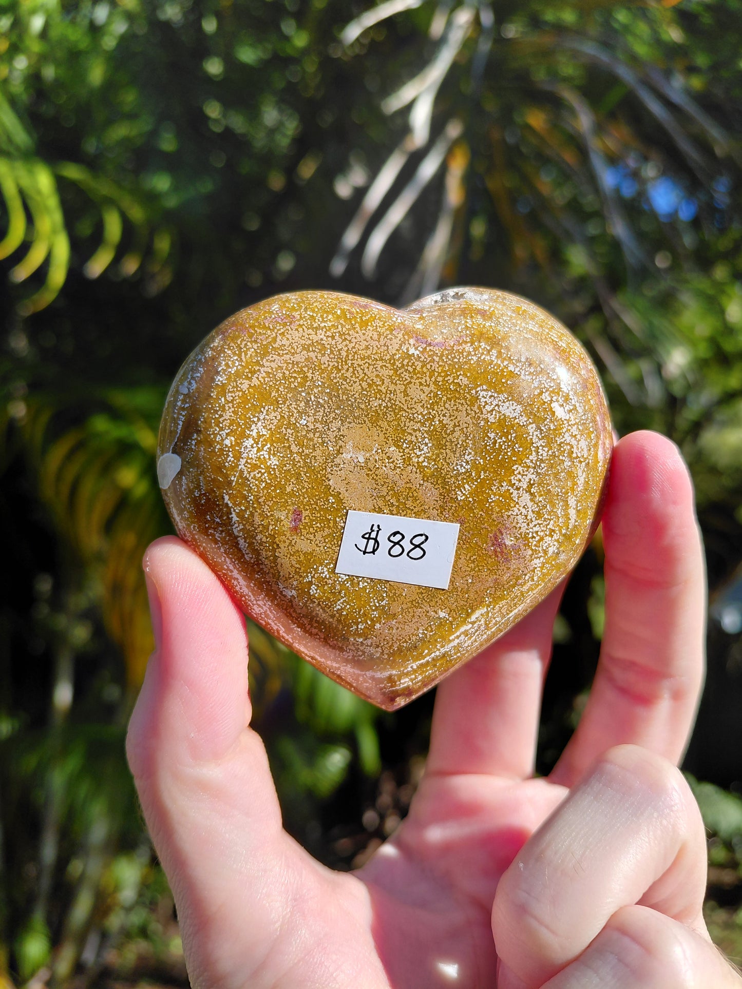 Corazón de Jaspe Océano B