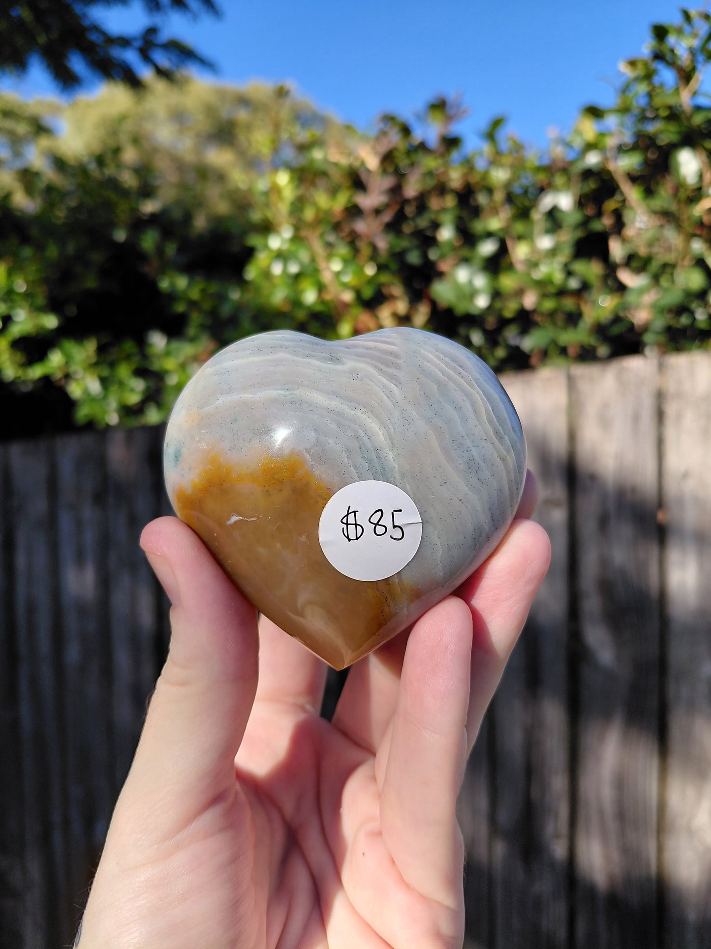 Corazón de Jaspe Océano F