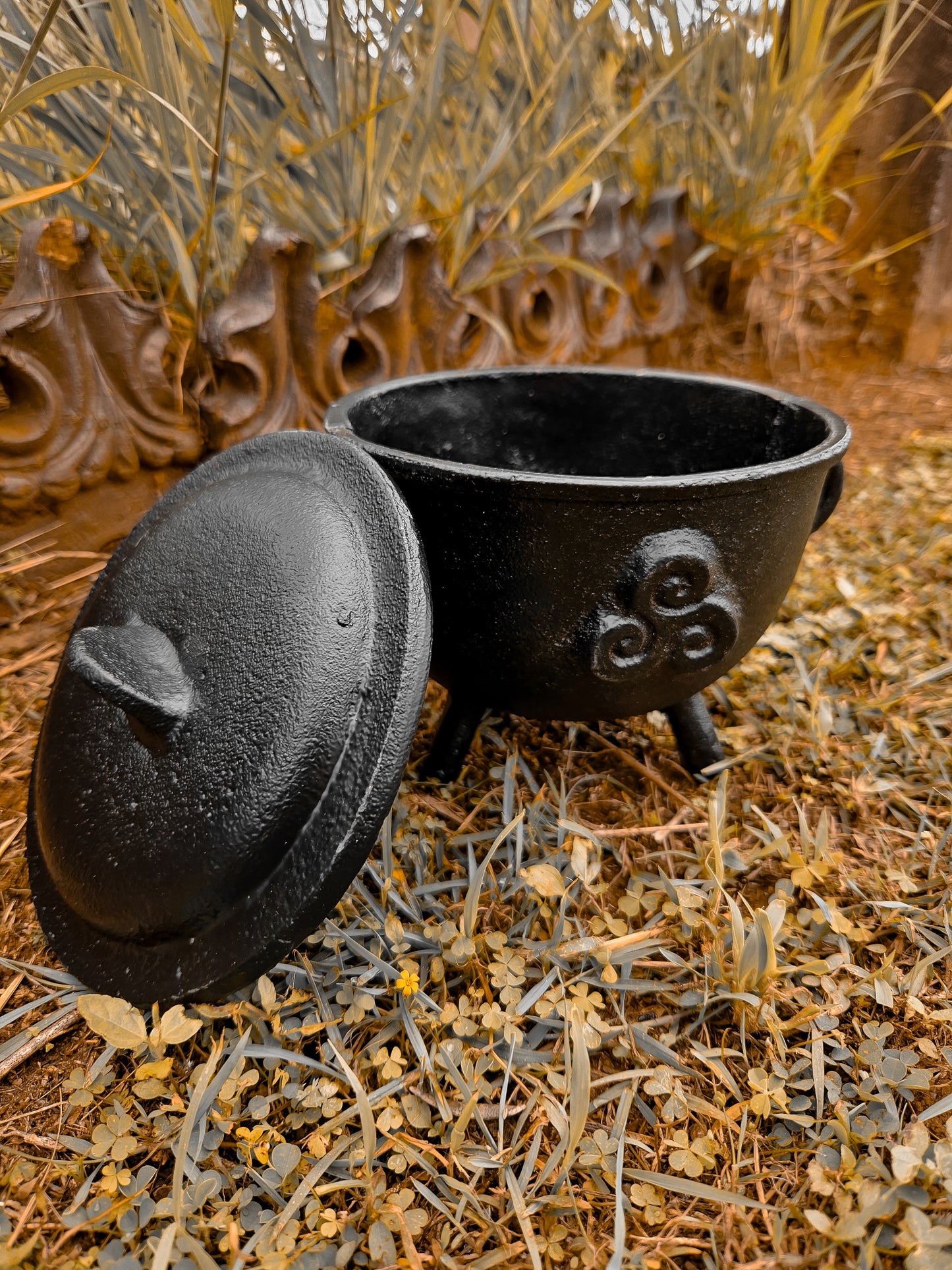 Caldero Mediano de Hierro Fundido de Brujas