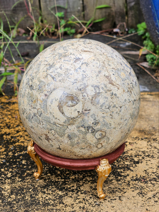 Esfera colosal de coral fósil con soporte