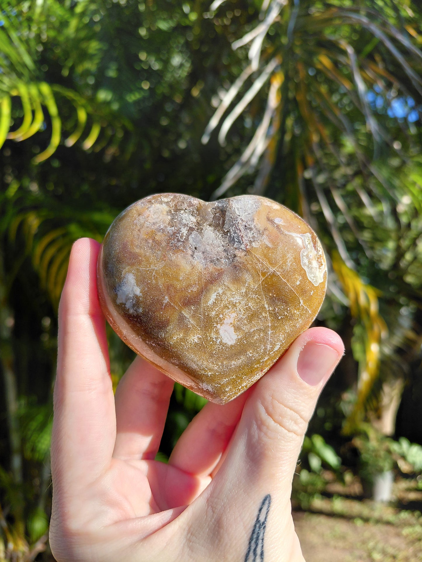 Corazón de Jaspe Océano B