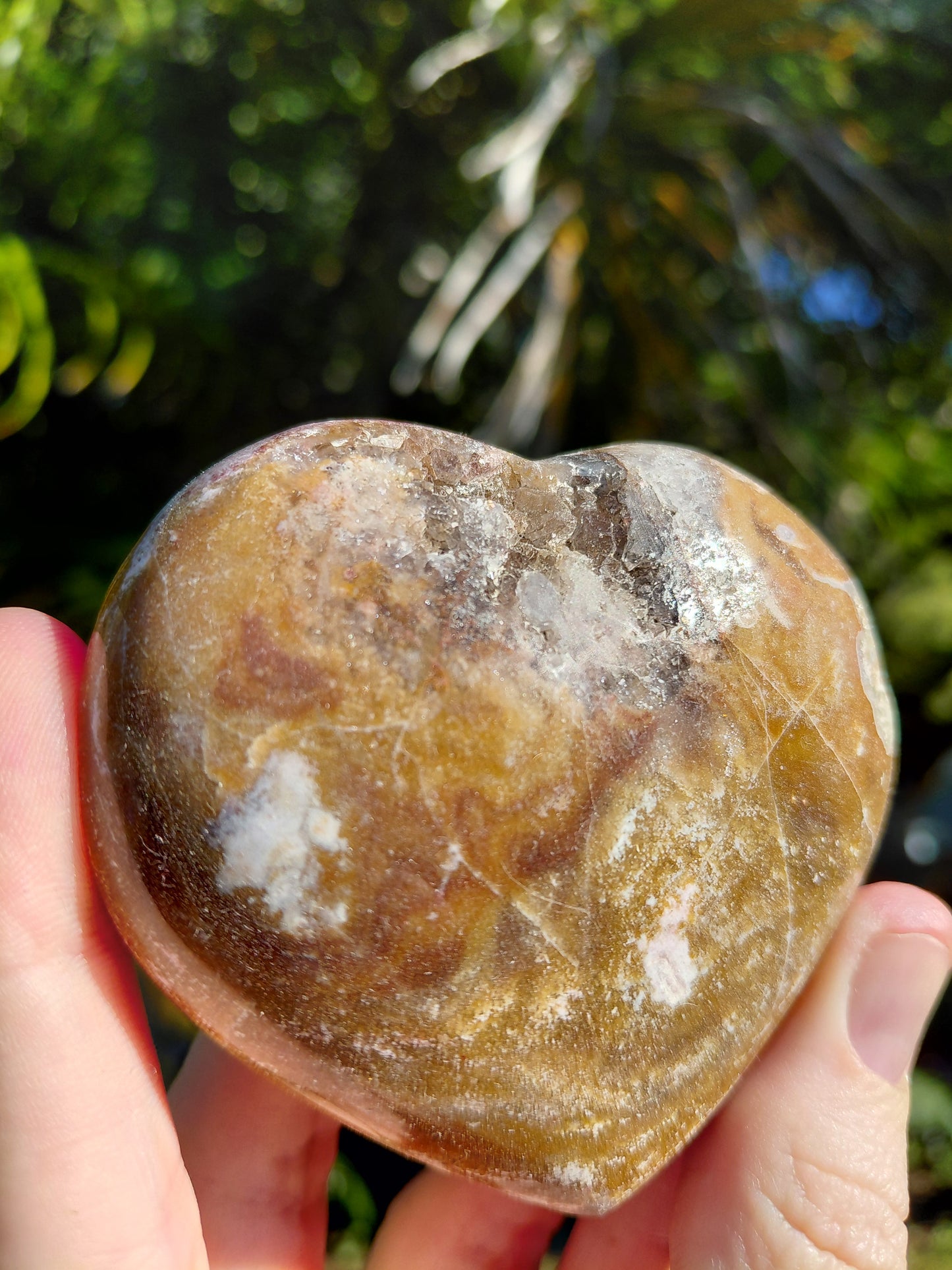 Corazón de Jaspe Océano B