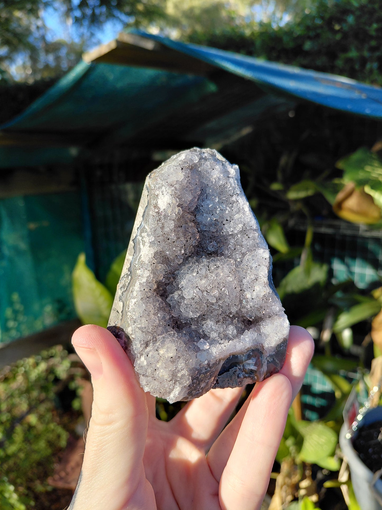 Amatista Arcoíris Base Plana E