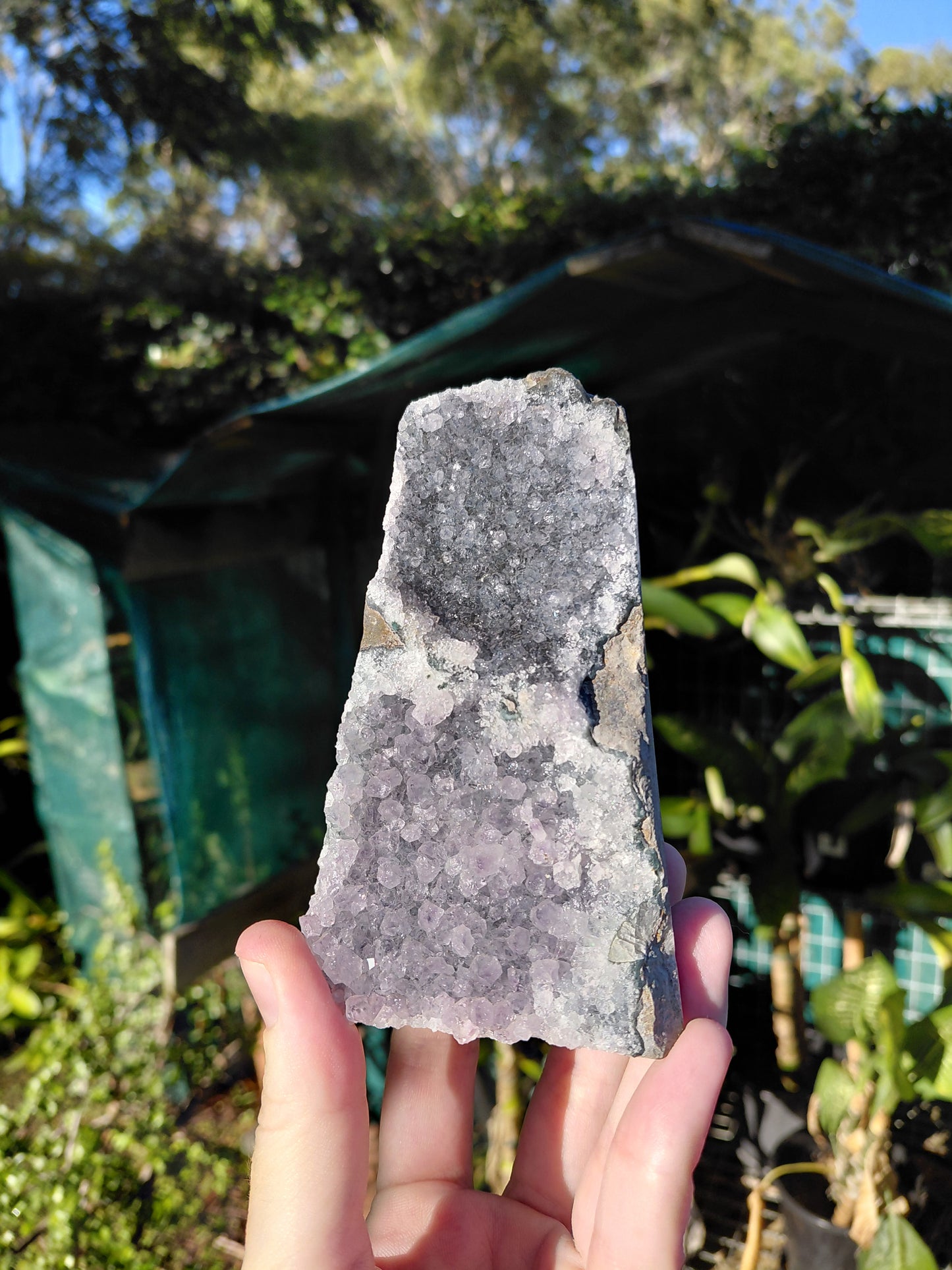 Amatista Arcoíris Base Cortada F
