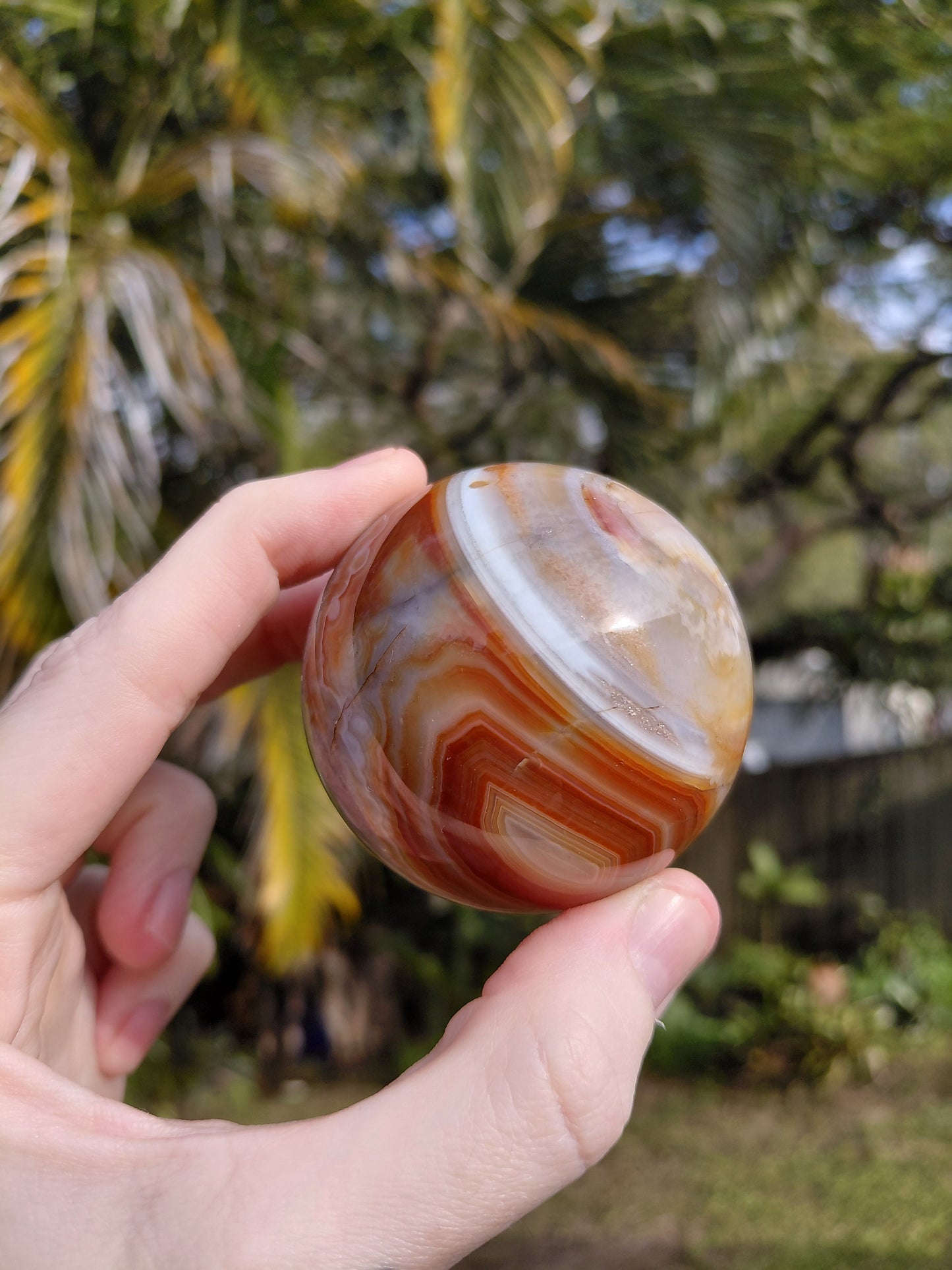 Agate Sphere w/ Wooden Stand