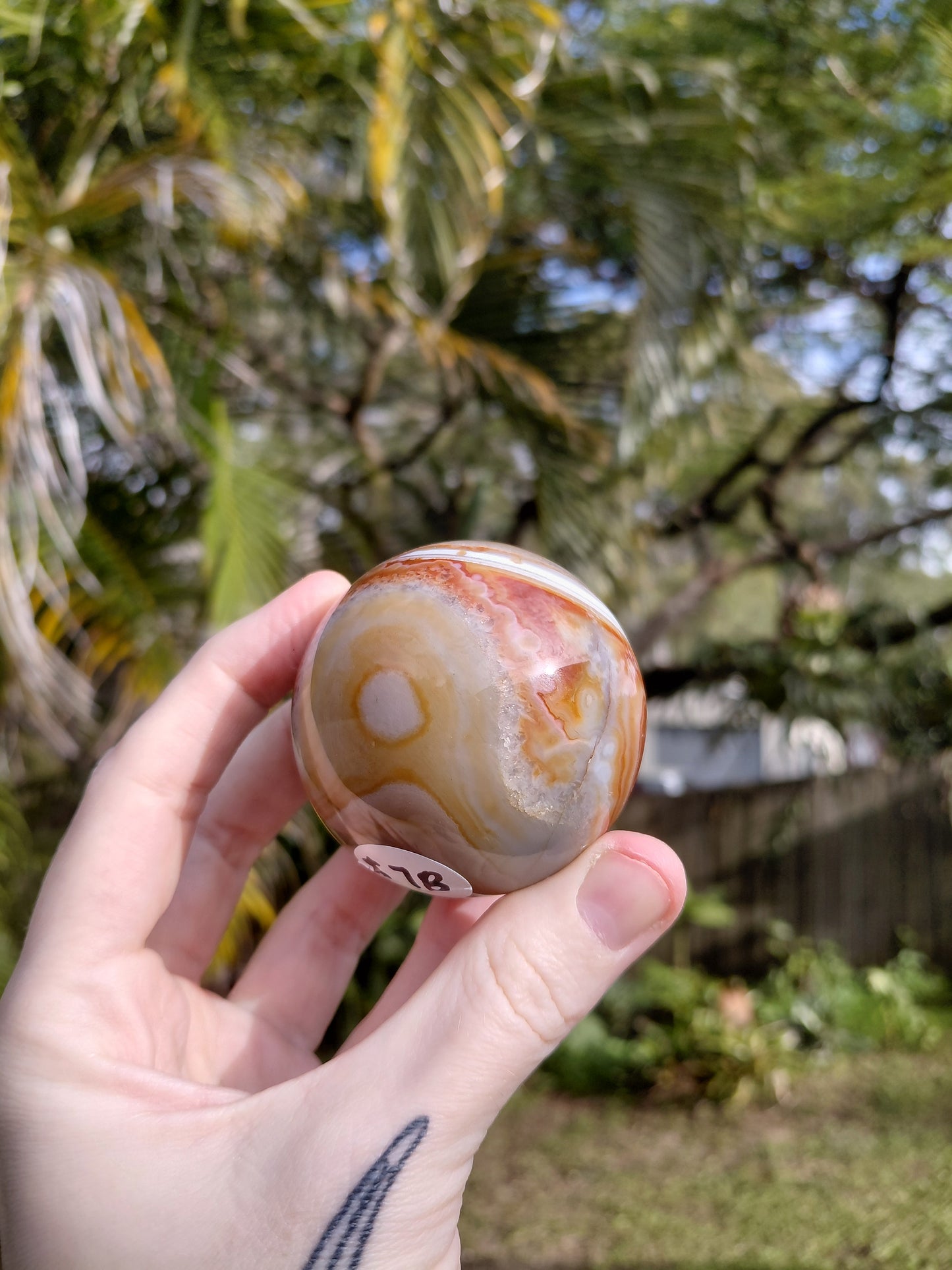 Agate Sphere w/ Wooden Stand