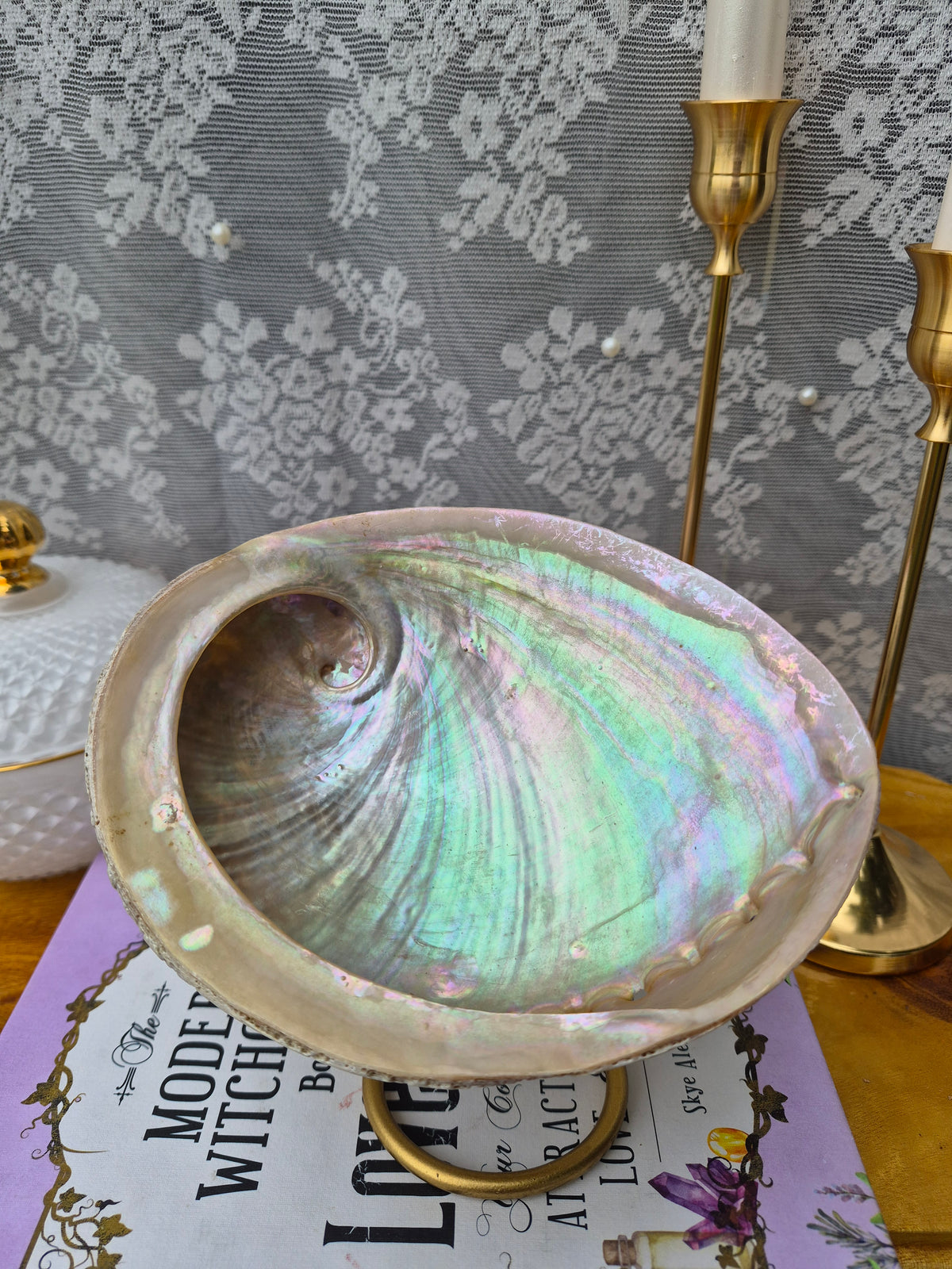 Abalonemuscheln