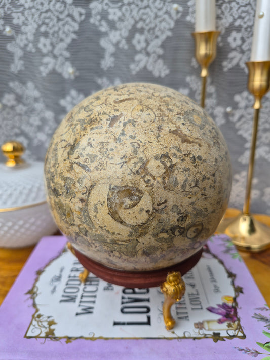 Esfera colosal de coral fósil con soporte